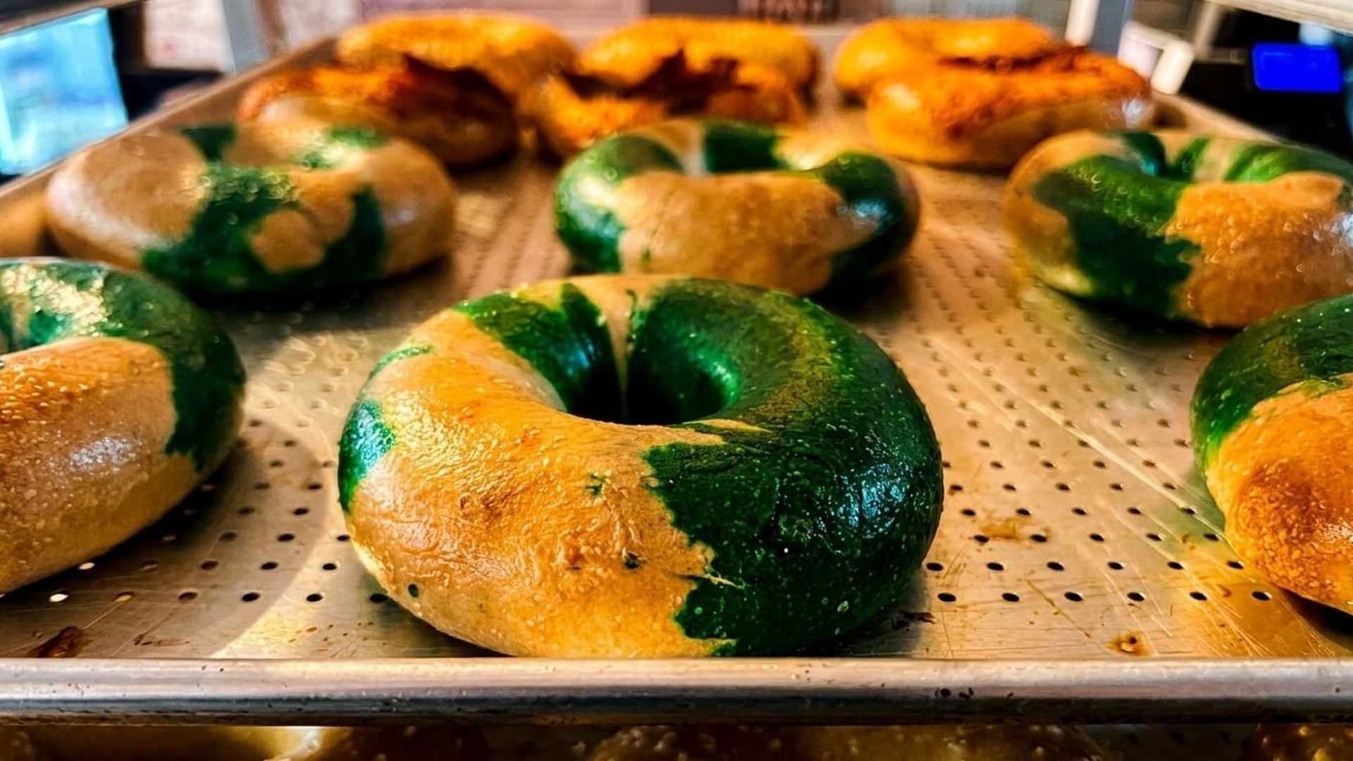 All Star Bagel & Grill Rewards